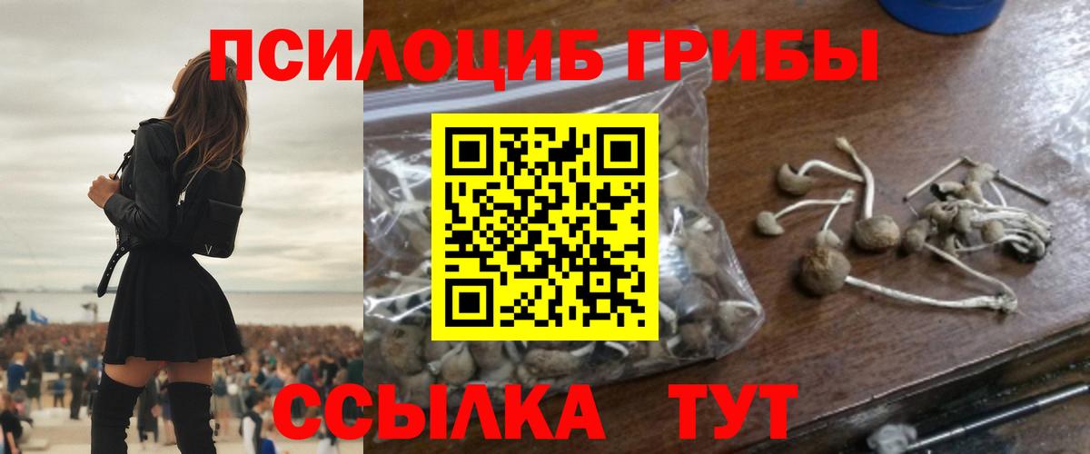 Галлюциногенные грибы прущие грибы  Вход с VPN  Кизилюрт 