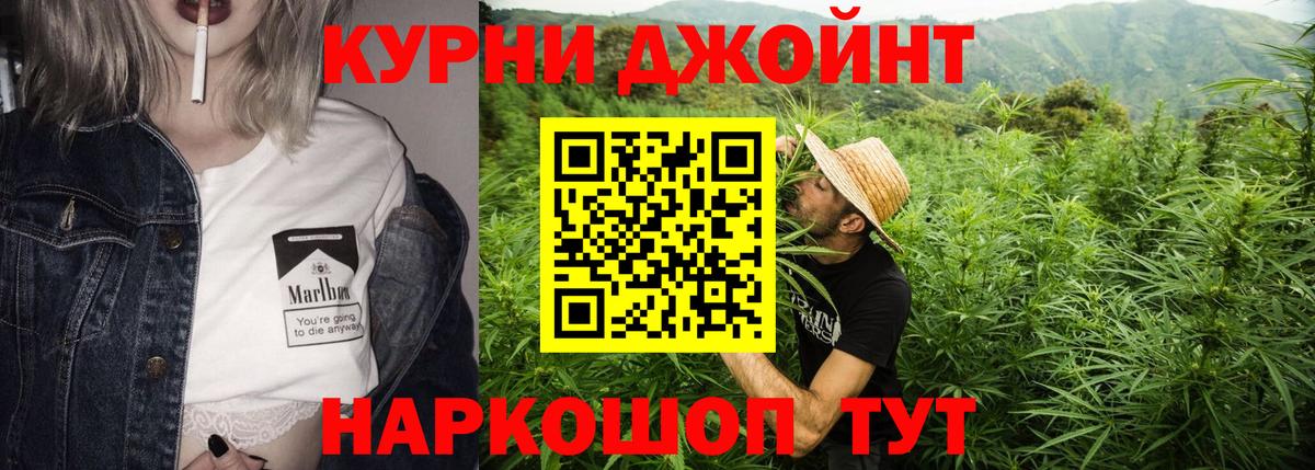 Бошки марихуана White Widow Кизилюрт