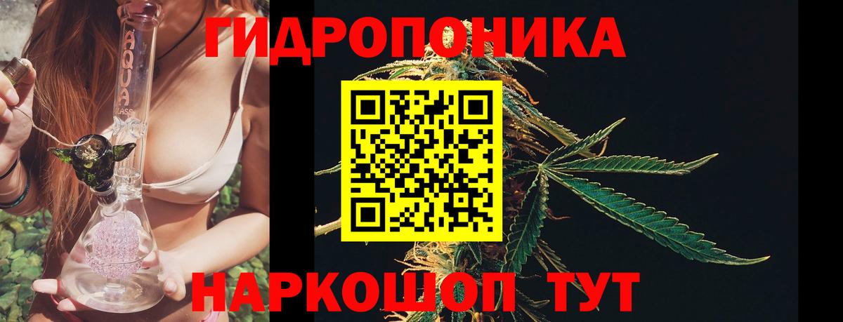 Кизилюрт  Бошки марихуана AK-47  Бошки Шишки сатива  Вход с VPN 